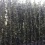 Black Friday - Hedera hibernica 20/40 t/m 250/300 cm