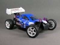 Radiografische auto off road Buggy Sunfire