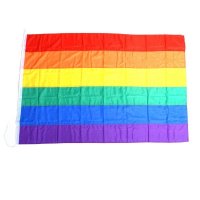 Regenboog vlag / Rainbow flag 