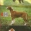 Honden: Croation Breed op telefoonkaart x