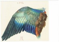 Dürer Neurenberg 1971 Postkarte vleugel van
