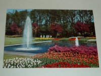 Holland verschillende kaarten bloemen Holland