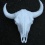 Buffel-Bison-schedel