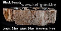Versteend hout wastafels fossiel steen waskommen