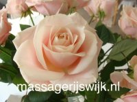 Voetreflexmassage Massage Rijswijk \