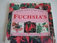 Fuchsia\