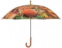 Paraplu in Herfsttinten van Esschert Design