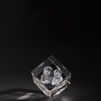 3D Foto in hoogwaardig kristalglas. Model: