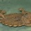 Bronzen beeldje  - olielamp - (7)
