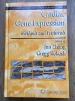 Cardiac Gene Expression - Jun Zhang,
