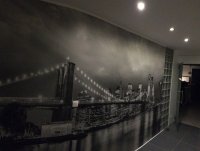 Wandfoto behang New York Bridge 368x254cm