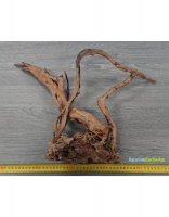 Aangeboden: Schitterende stukken spiderwood voor het aquarium of terrarium! € 4,95
