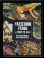  Harlequin frogs, A complete guide