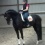 Paarden(sport)massage en training (3)