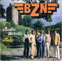 BZN vinyl singels 20 stuks