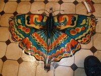 Vlieger vlinder mooie kleuren vliegertouw handvat