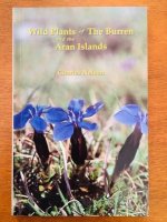 Wild plants of The Burren and