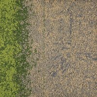 AANBIEDING Urban Retreat Flax Grass *Interface
