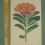 Antieke kopergravure uit The Botanical Register (2)
