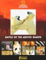 Battle of the arctic giants -
