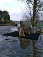 Paarden paddock platen ideaal voor droge