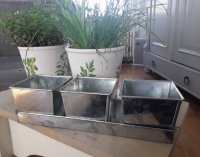 Metalen bakjes met tray voor plantjes