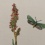 Antieke kopergravure groene boswachtervlinder  - (6)