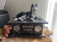 Husky hondenbeeld op urn als set