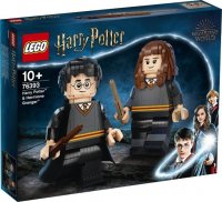 Aangeboden: Lego Harry Potter & Hermelien Griffel 76393 Nieuw € 110,-