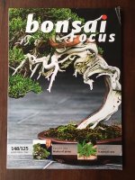 Bonsai Focus 148/125 - 6/2013 Nov/Dec