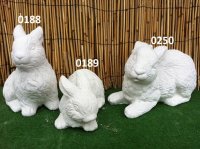 De konijnen familie