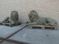 Prachtige bronzen grote liggende leeuwen mooie