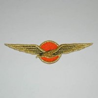 Embleem,Koninklijke,Luchtmacht,Piloot,Nederland,Textiel