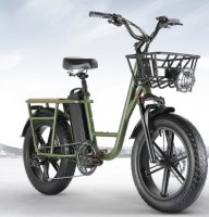 FIIDO T1 Cargo Electric Bike F