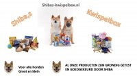Kwispelboxen voor kleine en grote honden