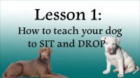 Watch 6 short dog/puppy training video\'s