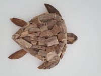 Houten schildpad