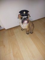 Spaarpot Politie Hond  24 cm