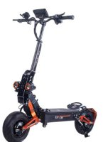 OBARTER D5 Electric Scooter 12 Inch