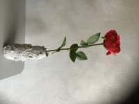 Mooie rode zijden rozen (imitatie)