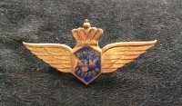 Pin/badge KLM Junior Skipper 