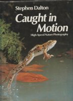 Caught in motion; Stephen Dalton; high-speed