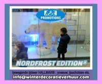 Groot ijsbeer groningen verhuur ijs decoratie