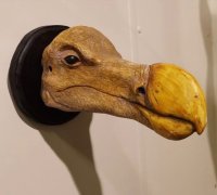Preparatenshop replica dodo kop, taxidermy, schedel