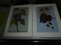 Vintage canvas druiven 2 delig, als