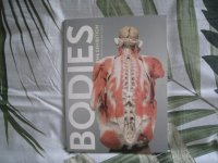 Bodies The exhibition Nederldstalige uitgave
