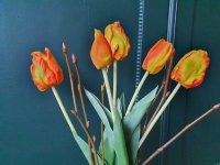 Kunst tulpen