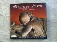 Beautiful Death by David Robinson