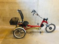 Electrische Driewieler: Van raam easy Rider