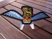 Embleem,Badge,RAF,WWII,Piloot,Glider,Zweef,Vliegtuig